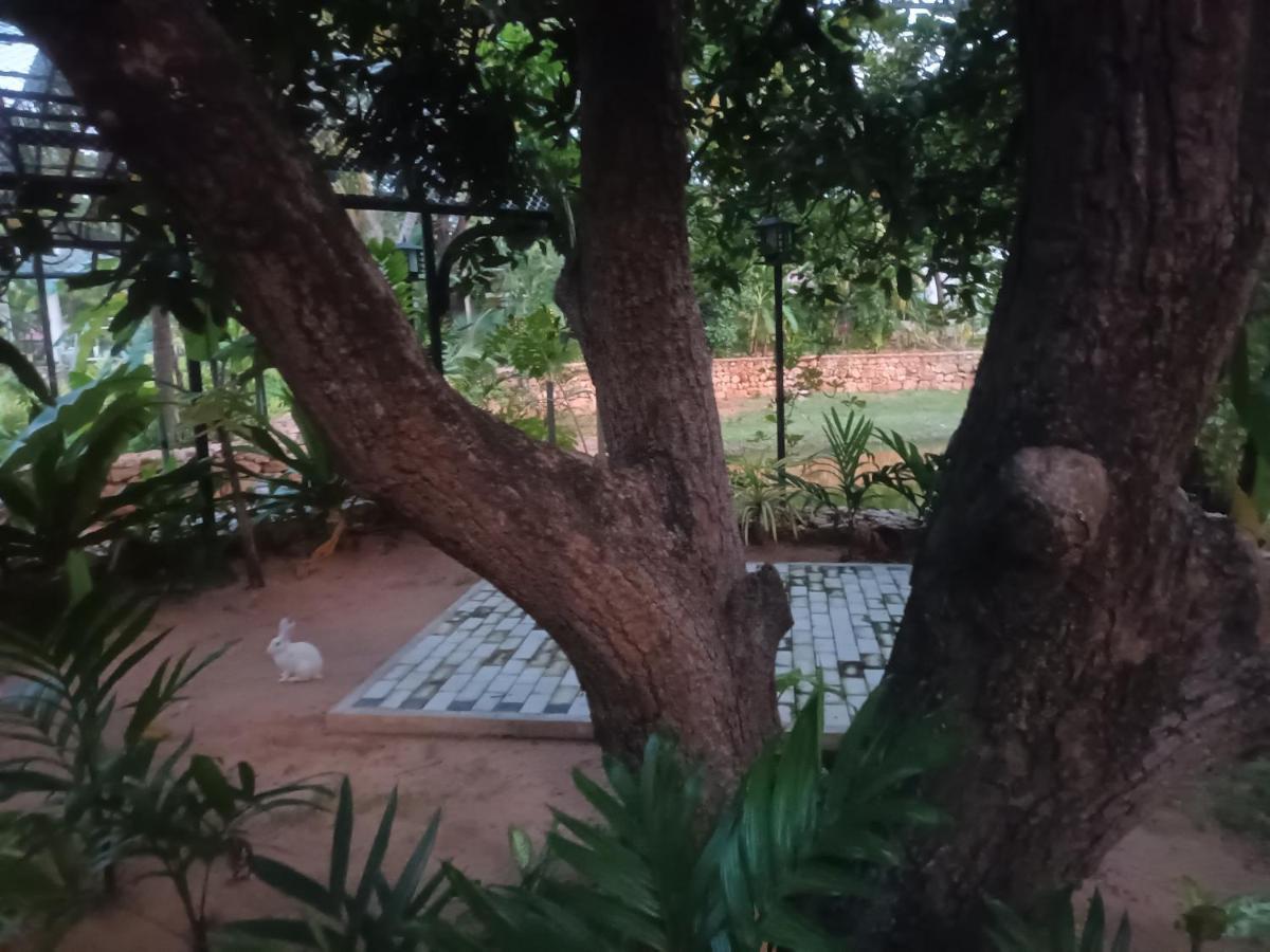 Lucky Beach Resort Trincomalee Luaran gambar