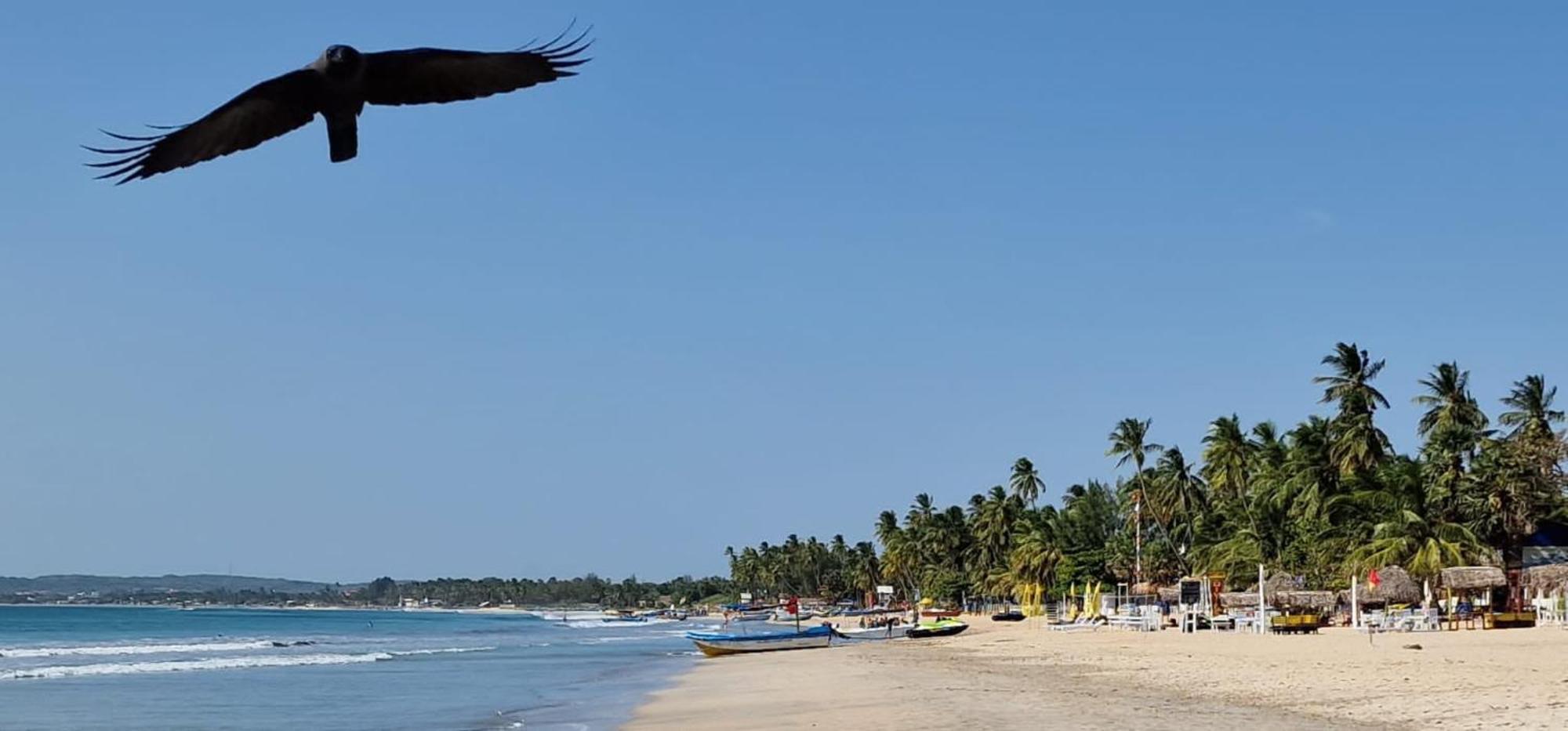 Lucky Beach Resort Trincomalee Luaran gambar
